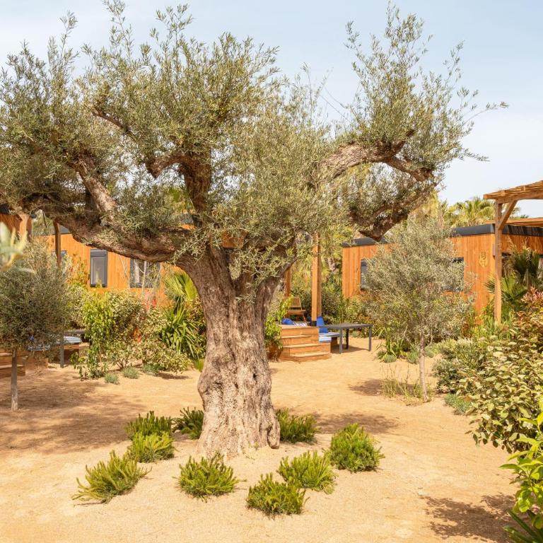Toison D'or - Hébergement 2 Chambres Kasaï Jardin - 5