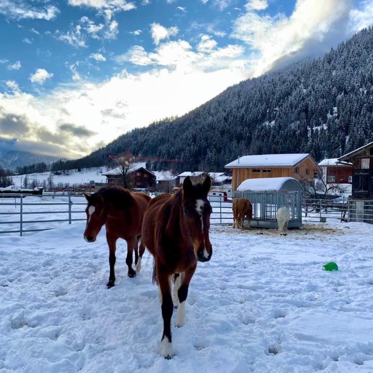 Walliser Stadel - Haus mit 2 Schlafzimmern - 46