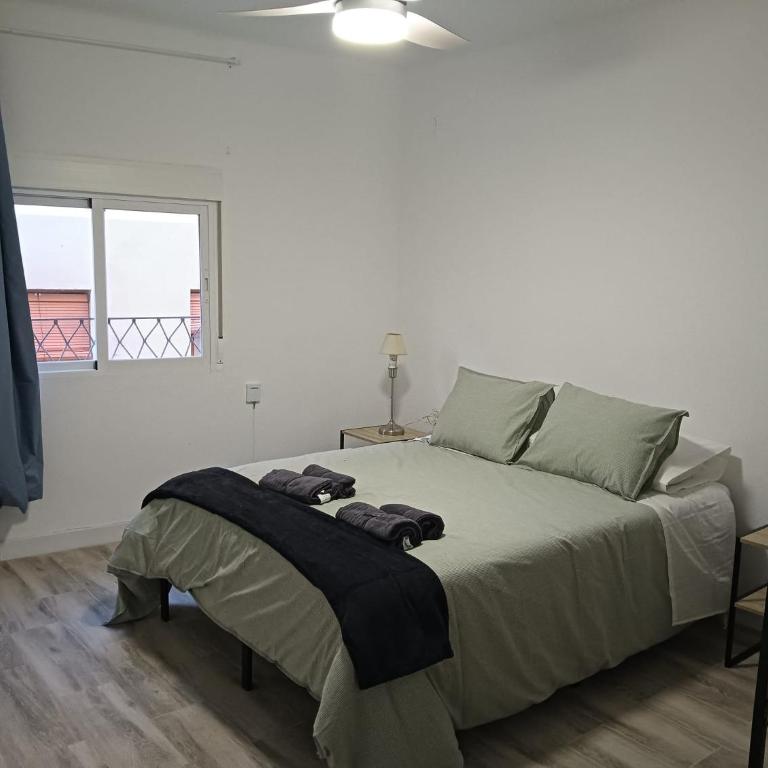 Apartamento Ribera - Apartamento de 2 dormitorios - 3