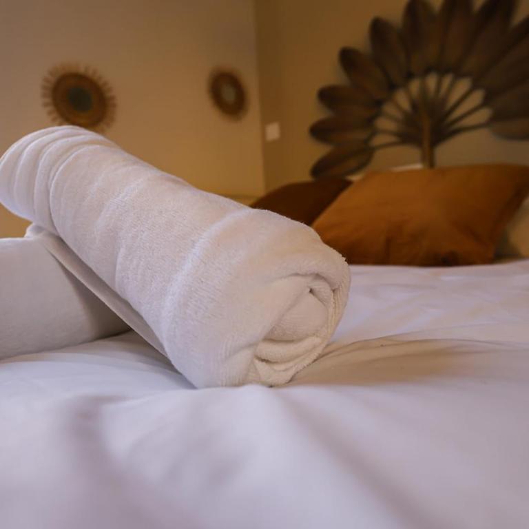 Studio Pouvillon proche Zenith - Centre Toulousain - Appartement 1 Chambre - 11