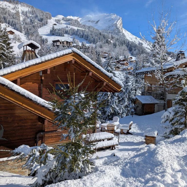 Chalet de l'Ours, 4 étoiles, avec spa et proche des pistes - Chalet - 1