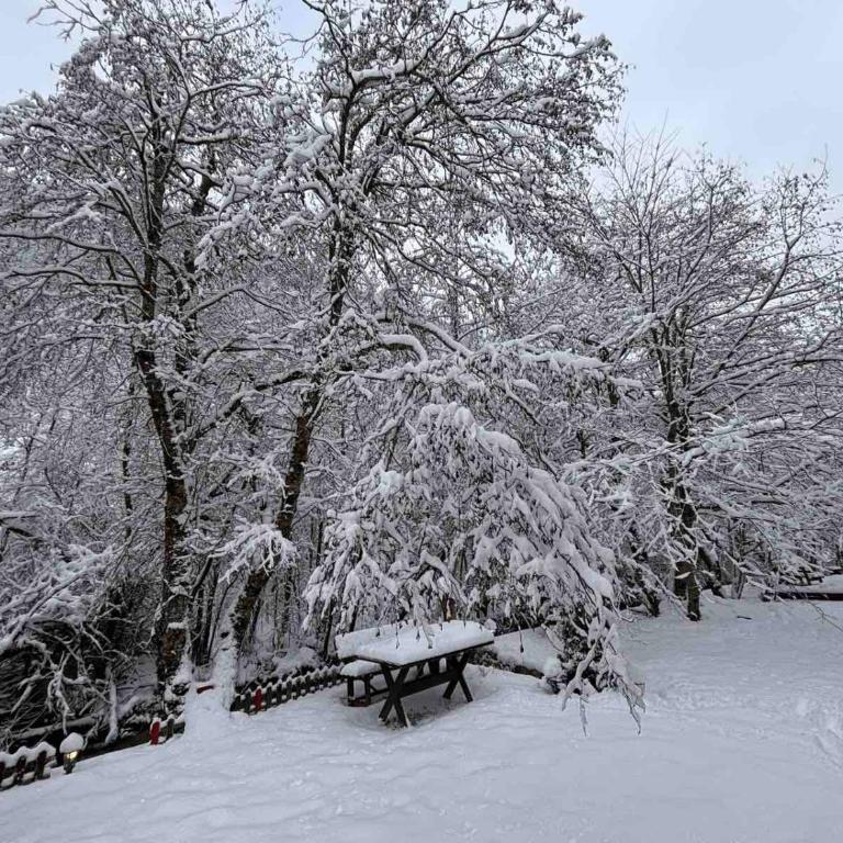 Rajsko Selo Kolasin - Koliba - 14