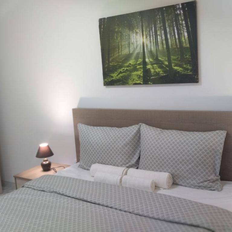Cera maximus apartment - Apartman sa 1 Spavaćom Sobom - 15