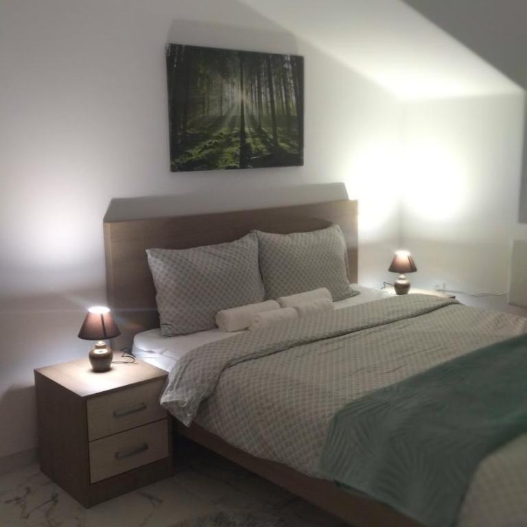 Cera maximus apartment - Apartman sa 1 Spavaćom Sobom - 13