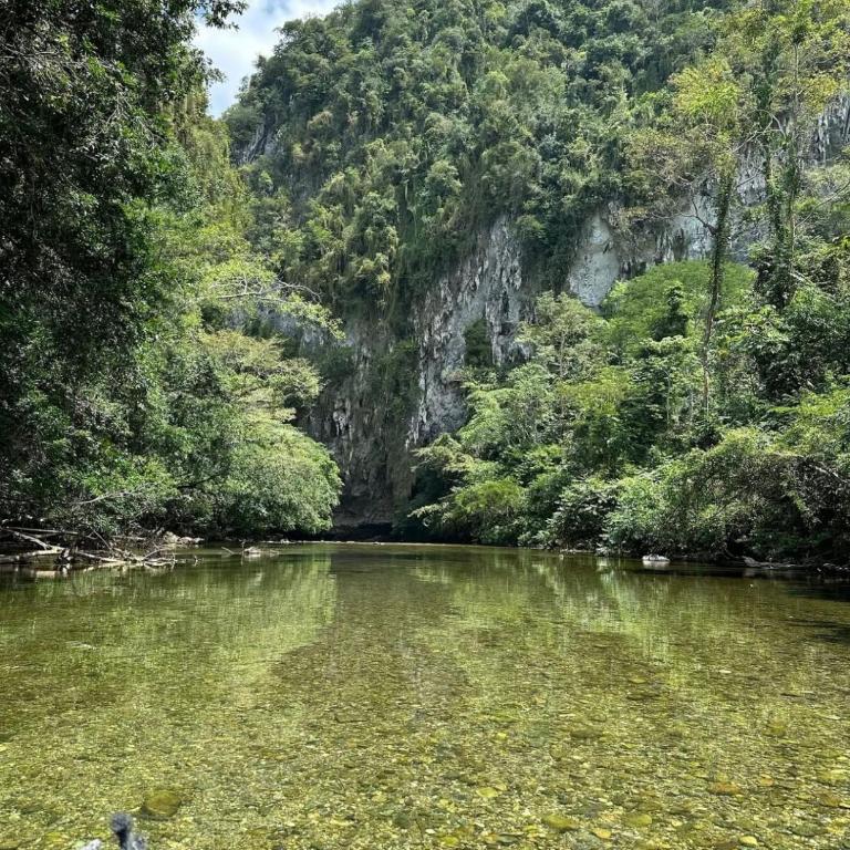 ZAFIRO HOTEL - Twin Room - 15