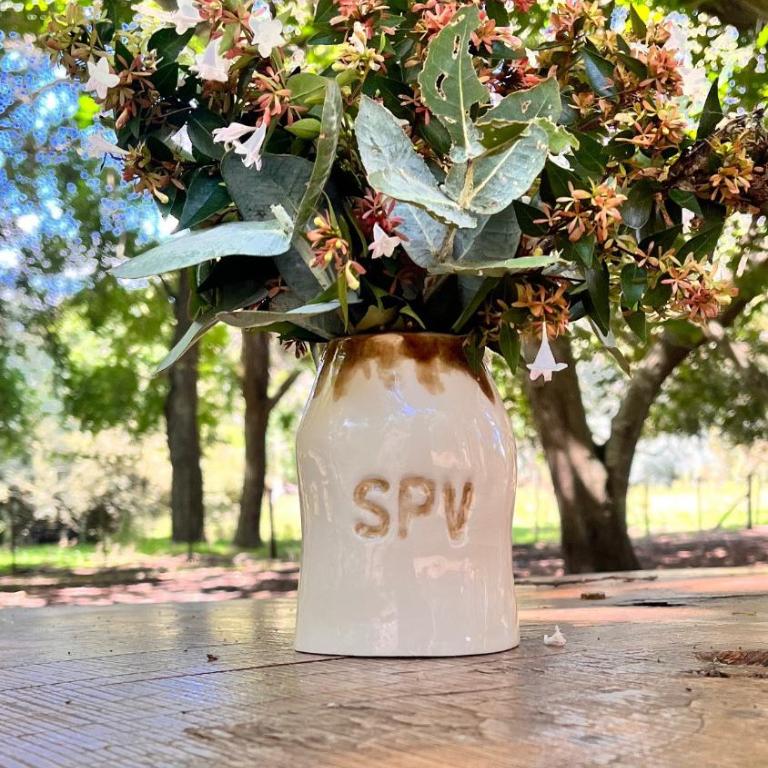 San Pedro de la Vigilancia - Chalet - 6