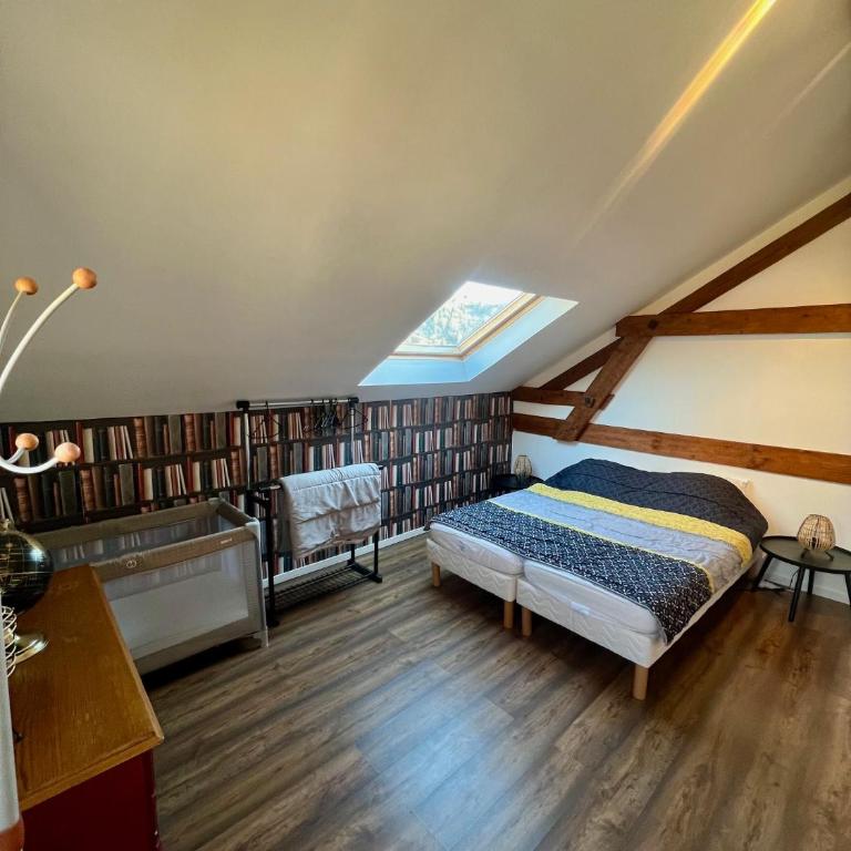 Grand apt La Bresse 6 a 8 pers centre et pistes proches - Two-Bedroom House - 8