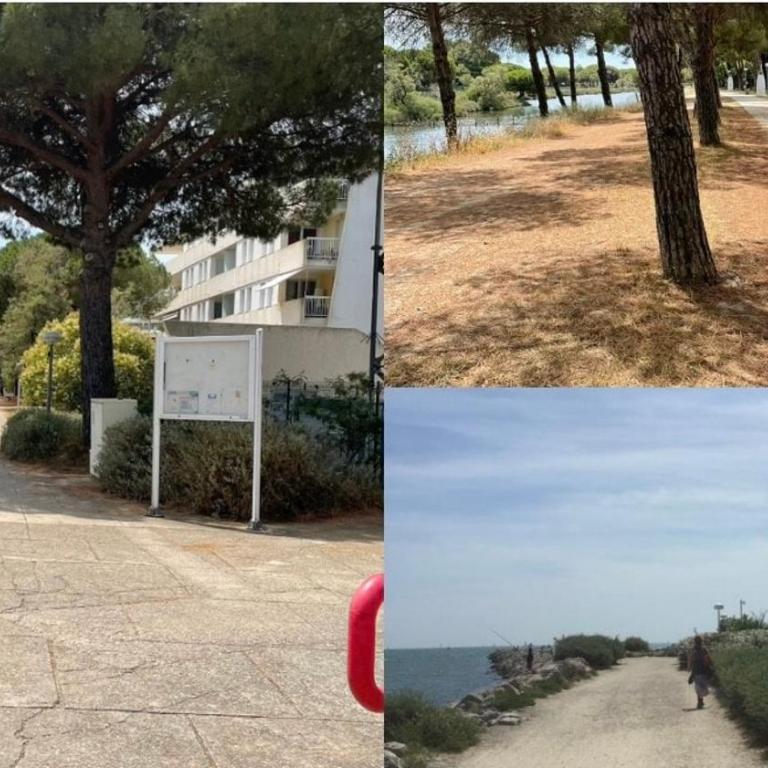 Le Grand Bleu-Parking privé-Climatisation-Proche ponant - Apartment mit 1 Schlafzimmer - 7