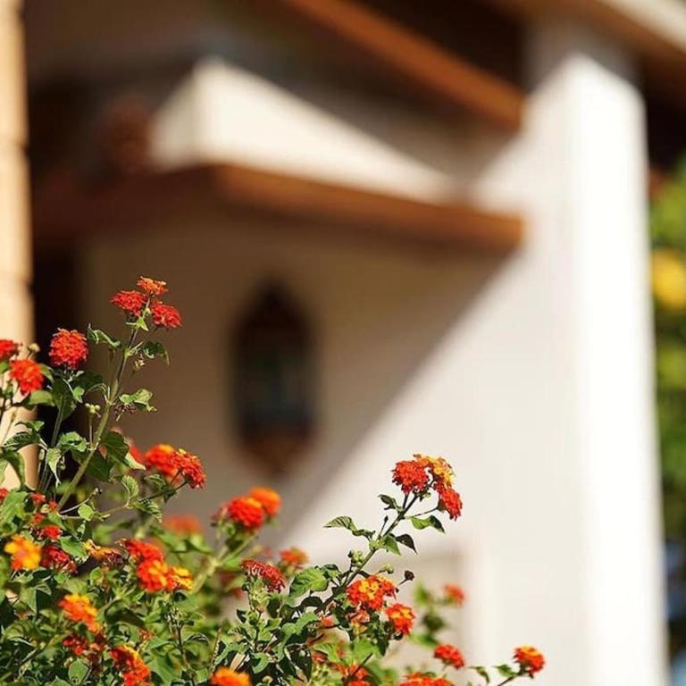 Two-bedroom house with country views by Renthousing - Villa con piscina privada - 47