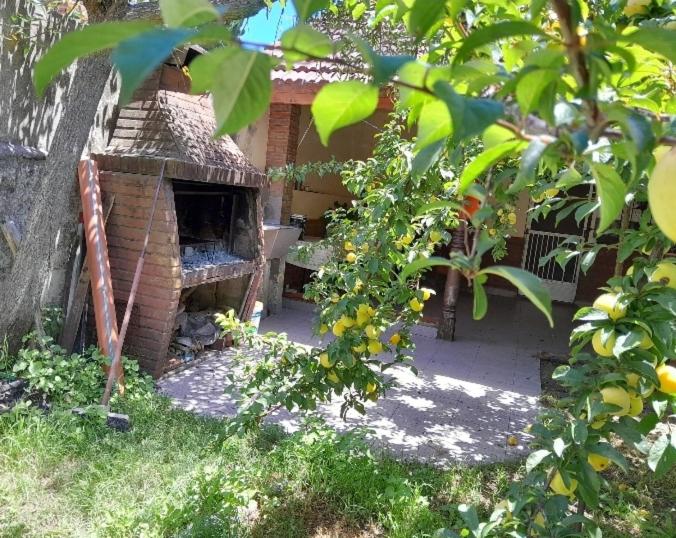 Complejo Extremo - Apartamento de 2 dormitorios - 18