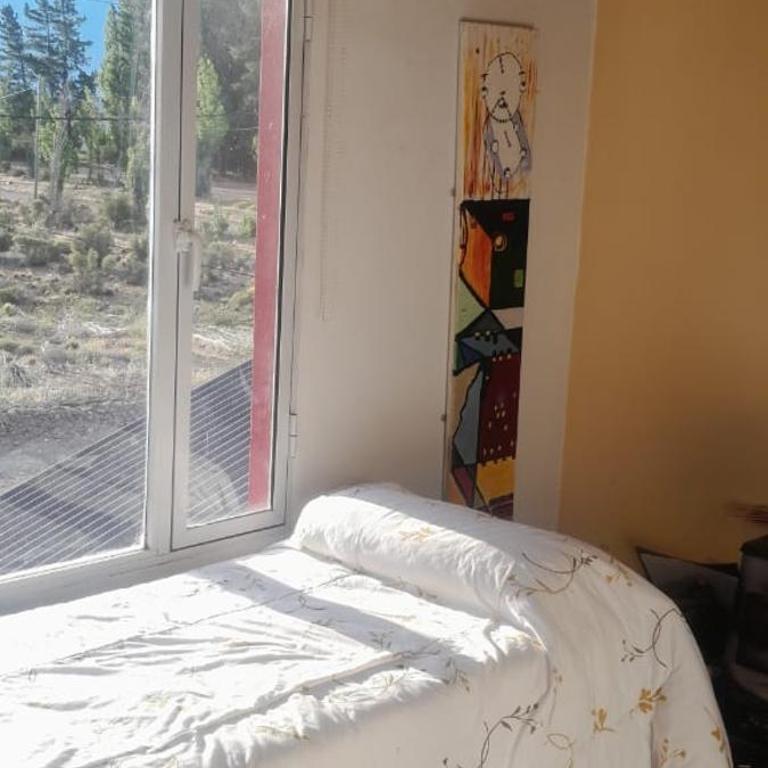 Departamento Patagónico - Apartment - 10