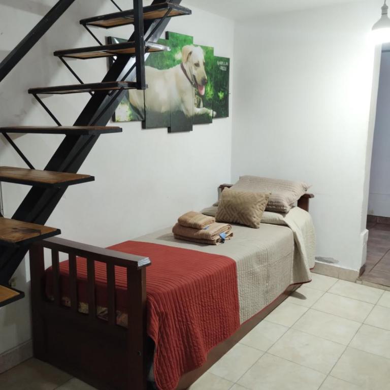 Bruna Zona Alta - Apartamento de 2 dormitorios - 10
