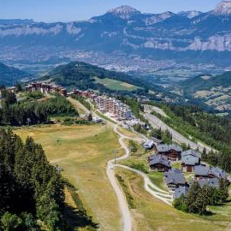 2 pièces aux Adrets, au pied des pistes, animaux admis - Apartment mit 1 Schlafzimmer - 5