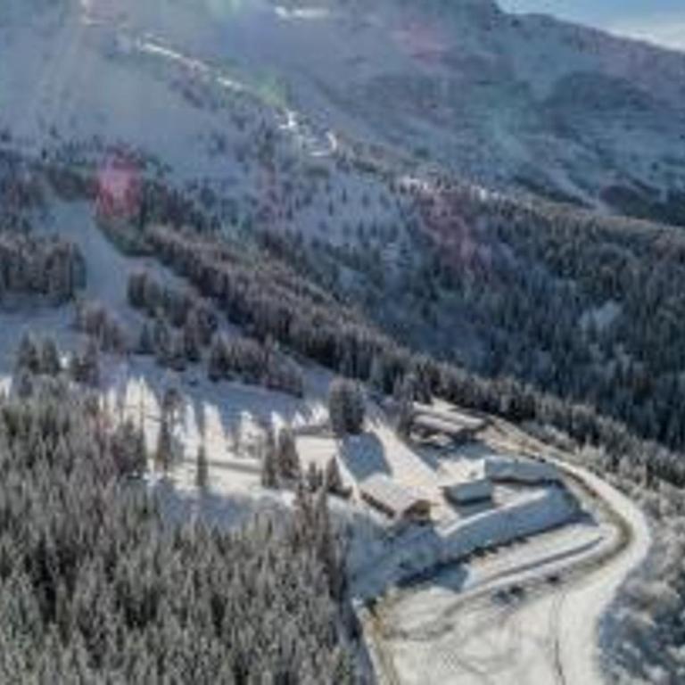 2 pièces aux Adrets, au pied des pistes, animaux admis - Apartment mit 1 Schlafzimmer - 6