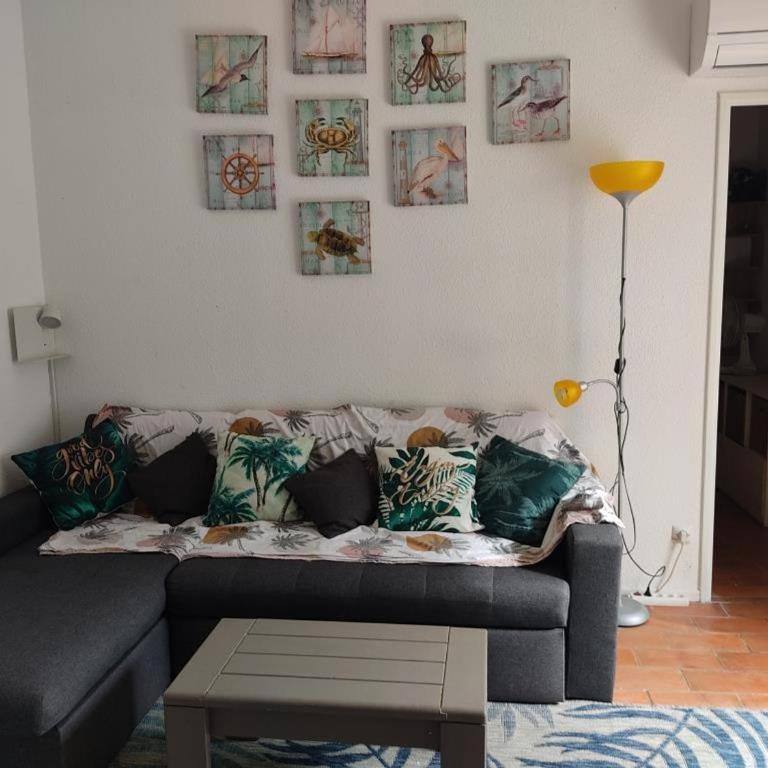 Charmant T3 climatisé avec terrasse, proche plage & parking privé - 4/6 pers, Gruissan - FR-1-796-7 - Appartamento - 16
