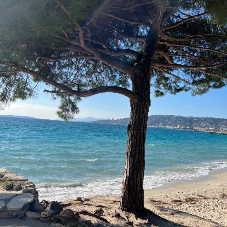Le Jardin Secret by Golden Riviera Terrasses & accès plage - Three-Bedroom Apartment - 23