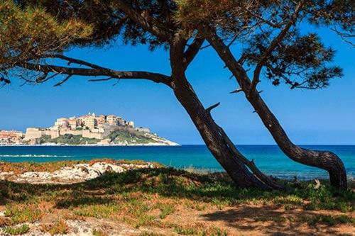 Appartement 5 couchages à Calvi - Appartamento con 1 Camera da Letto - 16