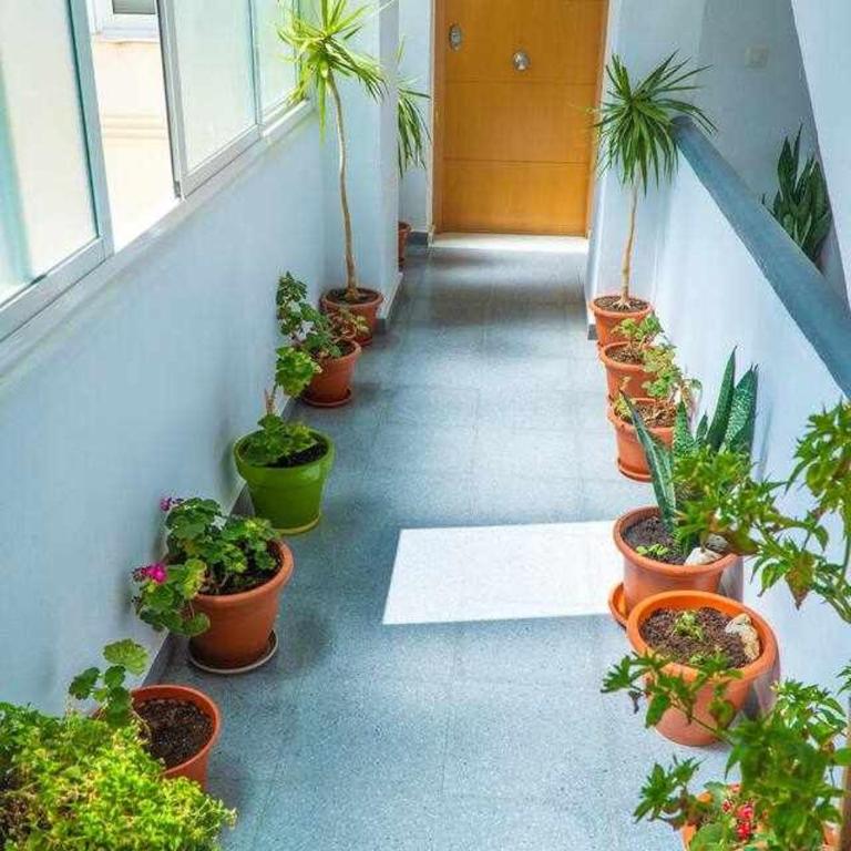 La Casa del Druida - Studio Apartment - 23