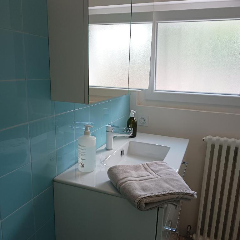 Grand appartement, 2 chambres et jardin - Two-Bedroom Apartment - 8