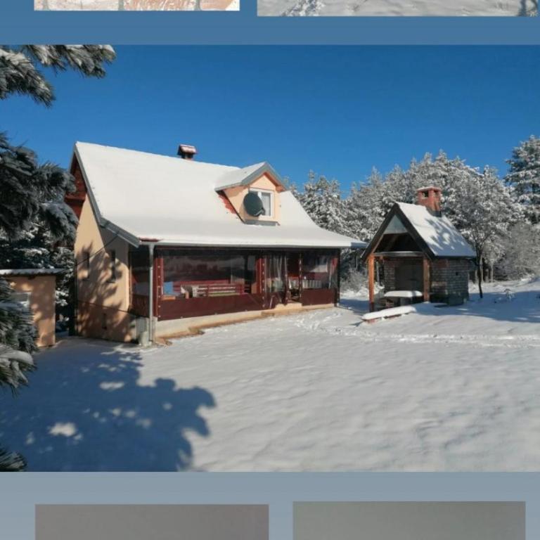 Planinska kuća Mitrović - Apartman s 2 Spavaće Sobe sa Balkonom i Terasom - 24