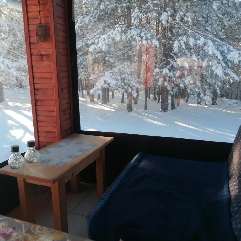 Planinska kuća Mitrović - Apartman s 2 Spavaće Sobe sa Balkonom i Terasom - 25