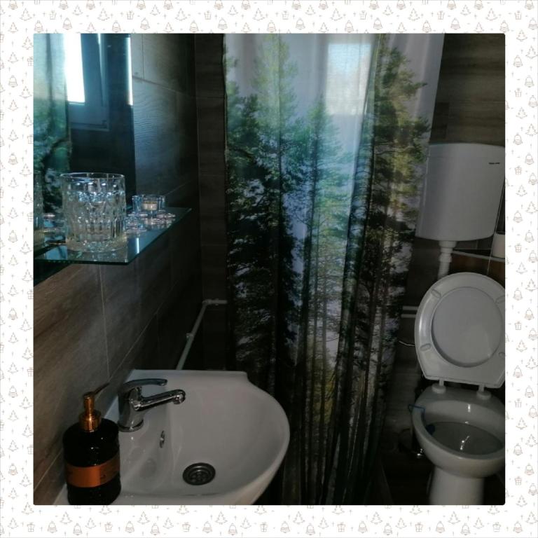 Planinska kuća Mitrović - Apartman s 2 Spavaće Sobe sa Balkonom i Terasom - 3