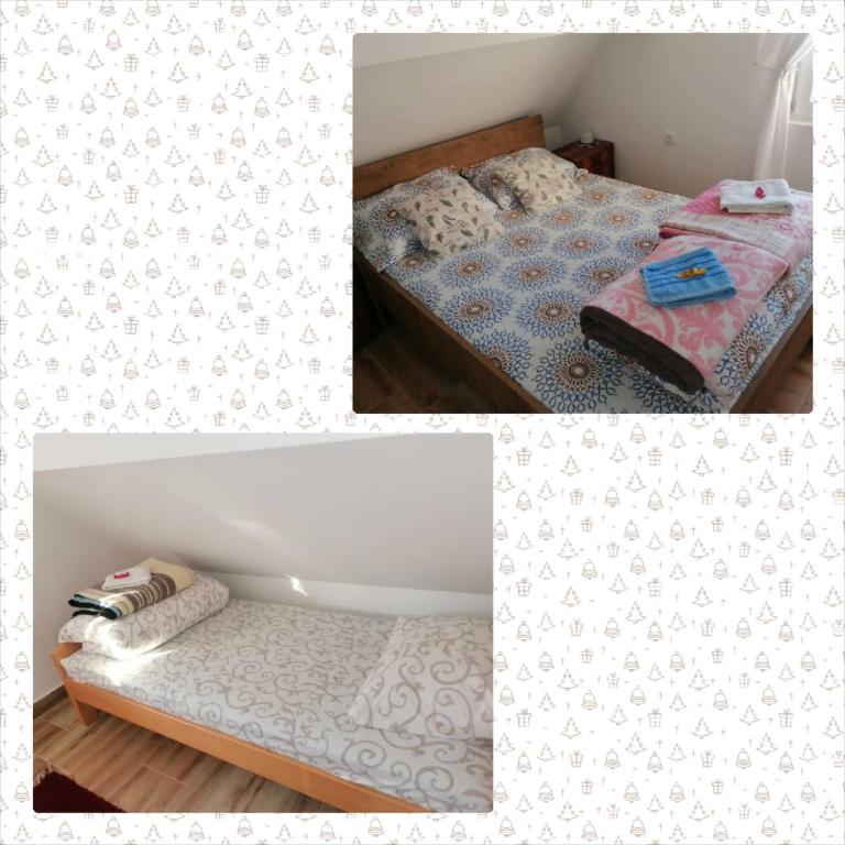 Planinska kuća Mitrović - Apartman s 2 Spavaće Sobe sa Balkonom i Terasom - 4