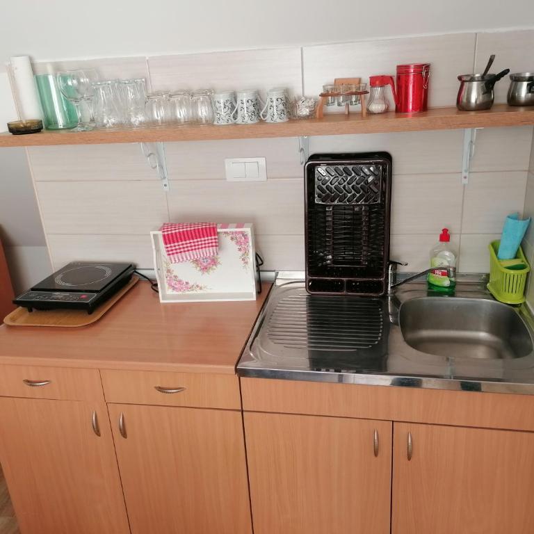 Planinska kuća Mitrović - Apartman s 2 Spavaće Sobe sa Balkonom i Terasom - 13