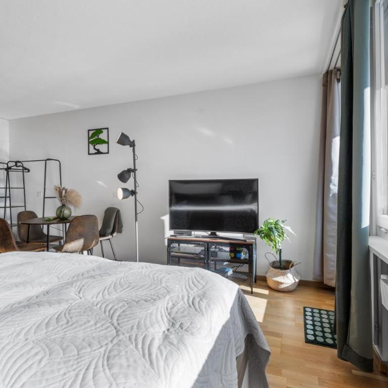 Studio mit Bergblick Titlis, Luzern, Pilatus, See - Apartment mit 1 Schlafzimmer - 22