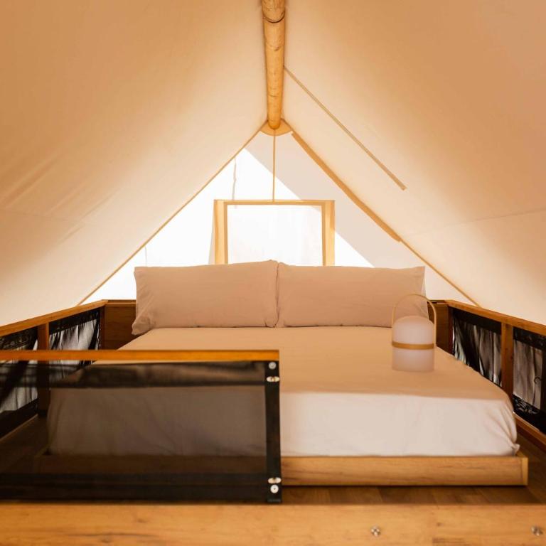 wecamp Cádiz - Tienda - 10