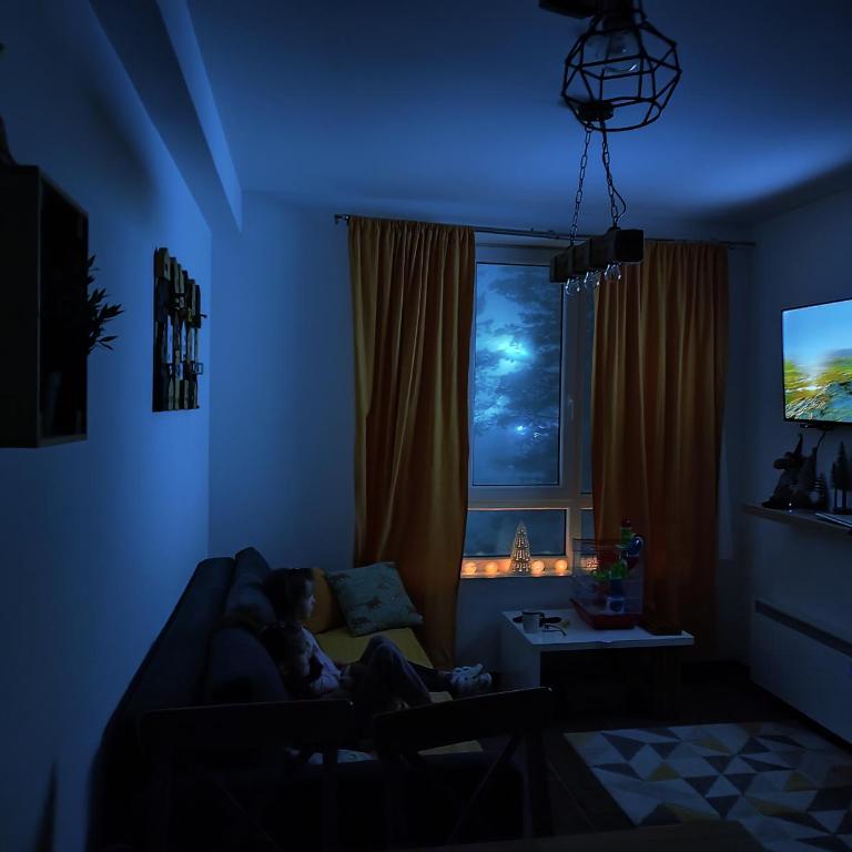 Apartman Paunovi Čardaci sa garažnim mestom - Apartman sa 1 Spavaćom Sobom - 29
