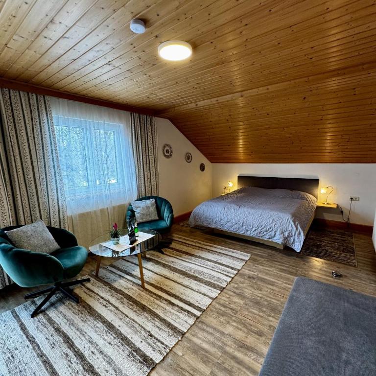 Helis Holiday Suites Altaussee - Appartement avec Balcon - 8