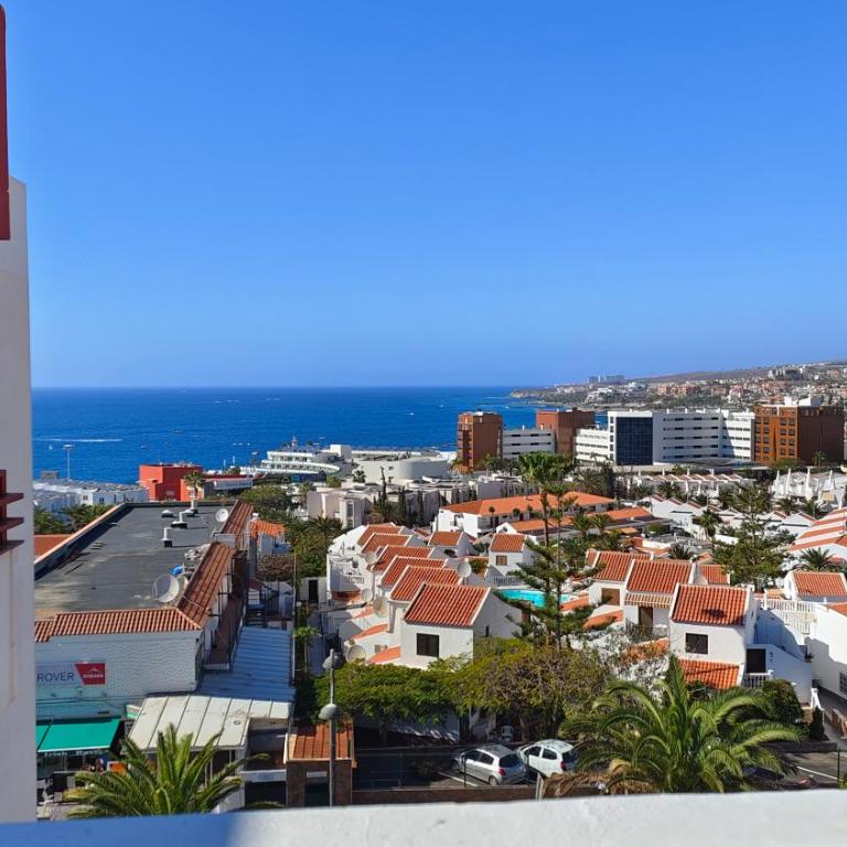 Spacious Penthouse Palmeras Ocean View 300 m to the Beach - Apartamento Ático - 45