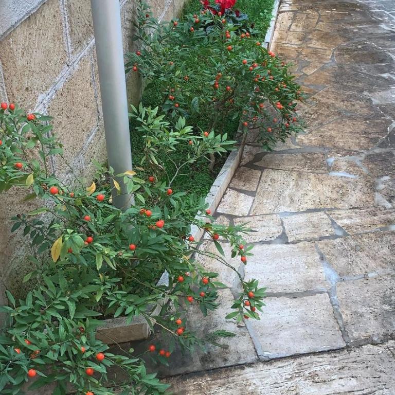 Peck House in Marconi San Paolo - Appartamento con 2 Camere da Letto e Balcone - 22