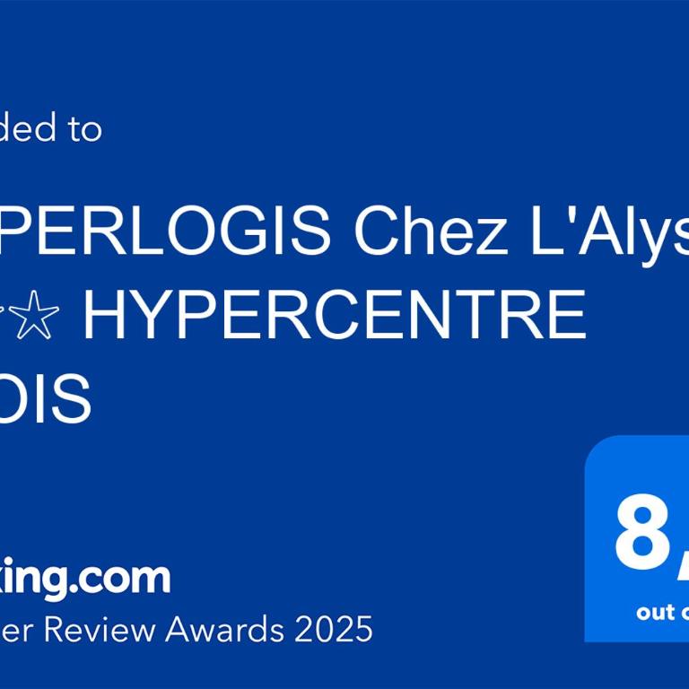 SUPERLOGIS L'Alysse Classé 3étoiles HYPERCENTRE BLOIS - Apartment mit 2 Schlafzimmern - 7