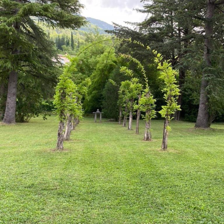 Spacious villa in Tourrettes-sur-Loup with Private Lake access Sleep 16 - Villa - 8