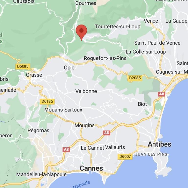 Spacious villa in Tourrettes-sur-Loup with Private Lake access Sleep 16 - Villa - 16