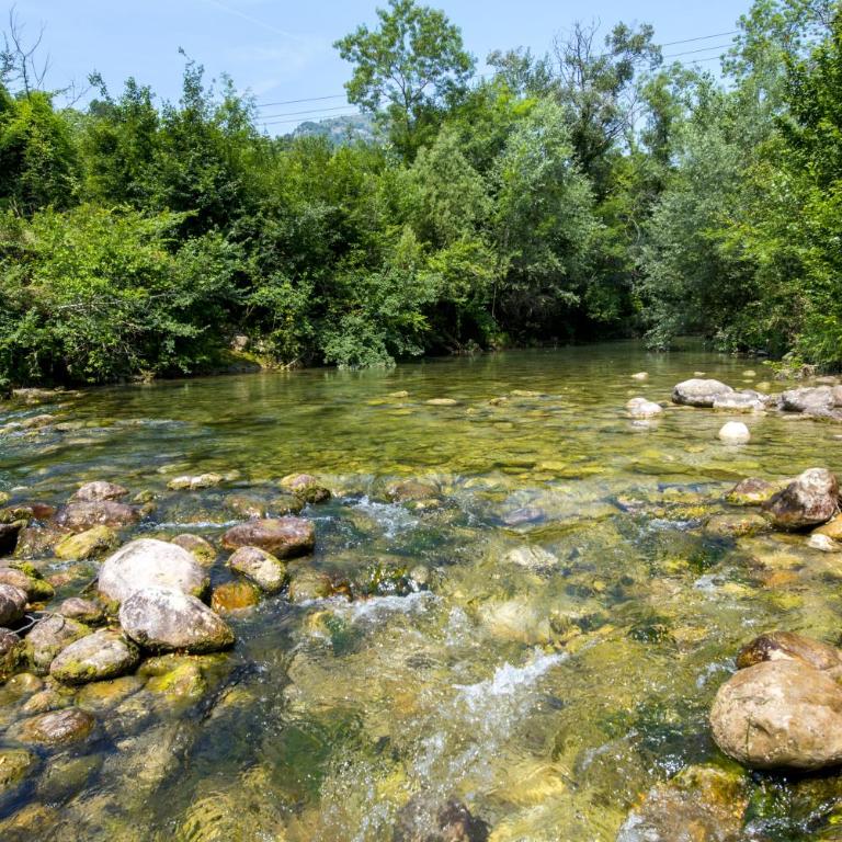 Spacious villa in Tourrettes-sur-Loup with Private Lake access Sleep 16 - Villa - 21