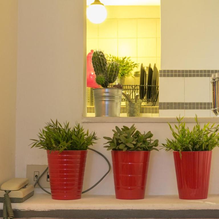 Navona Stay Apartment - Appartamento Standard - 24
