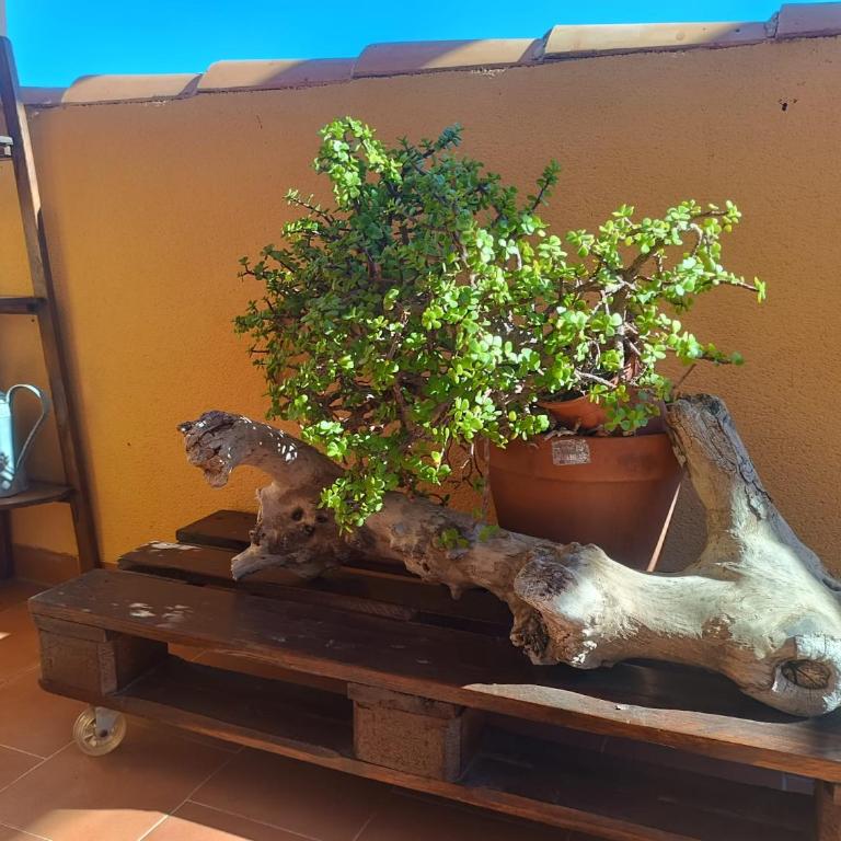 Volveremos - Sea Views Penthouse - Three-Bedroom Apartment - 4