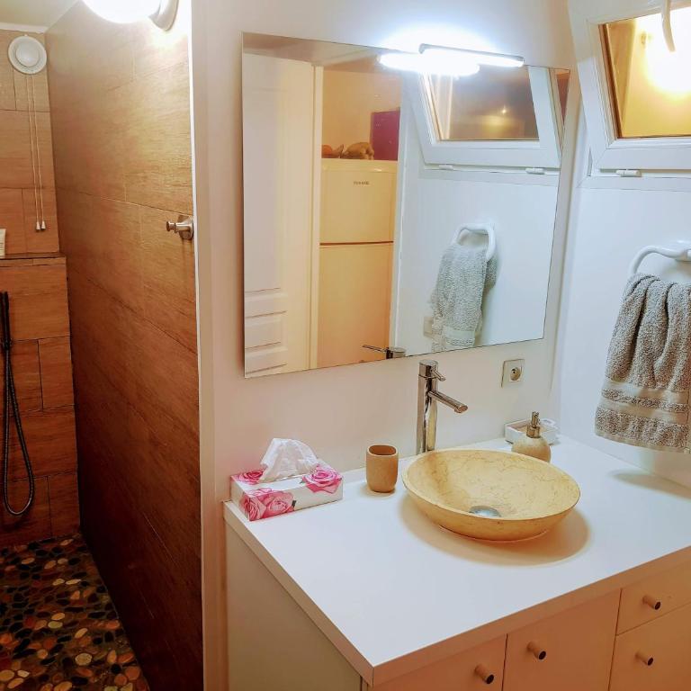 Grand T2 Ensoleillé 47m2 3 Etoiles - Apartamento de 1 dormitorio - 18