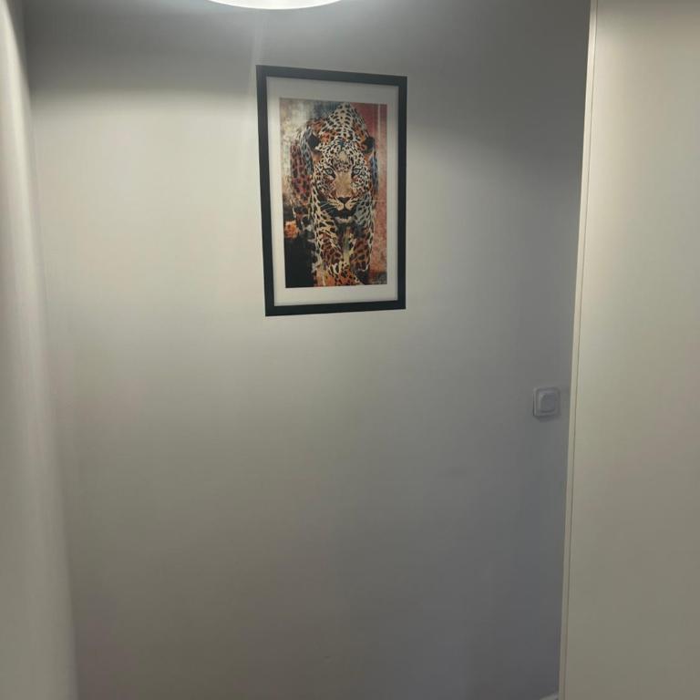 Le Bois Jaillant - Wifi - Centre ville historique - Proche Gare - Appartement 1 Chambre - 9