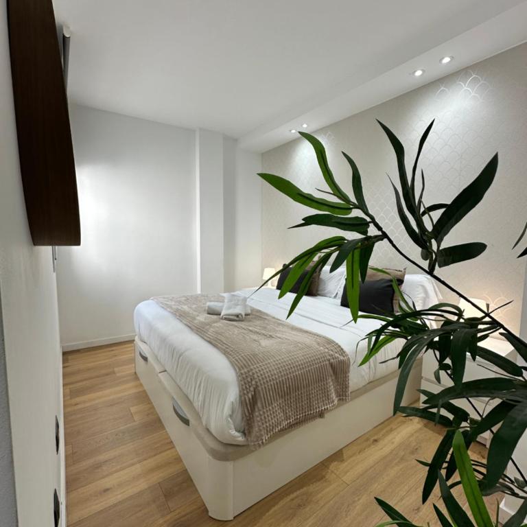 Capuchinos Deluxe - Apartamento Superior - 18