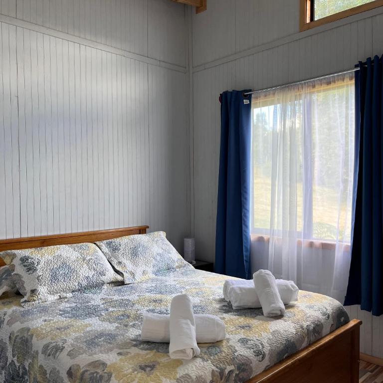 Cabaña playa Chauquen, Panguipulli - Casa de 2 dormitorios - 8