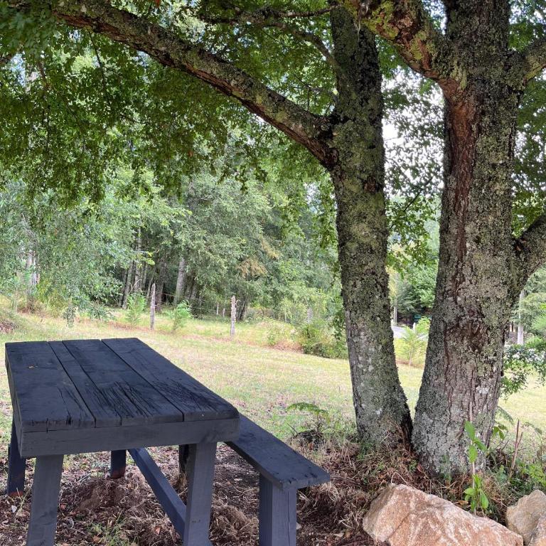 Cabaña playa Chauquen, Panguipulli - Two-Bedroom House - 11