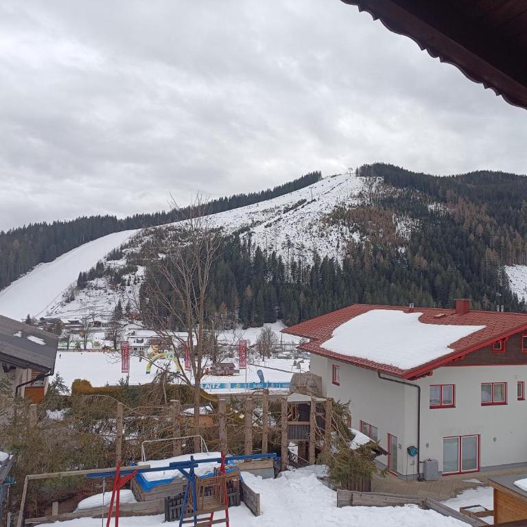 Tritscher's Appartement Ramsau Dachstein - Appartamento con 2 Camere da Letto - 29