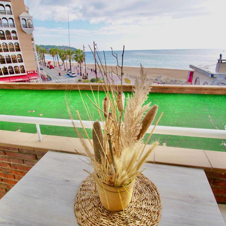 V&V LLORET- Apartment Carabella centro Lloret con vistas mar - Apartamento de 1 dormitorio - 24