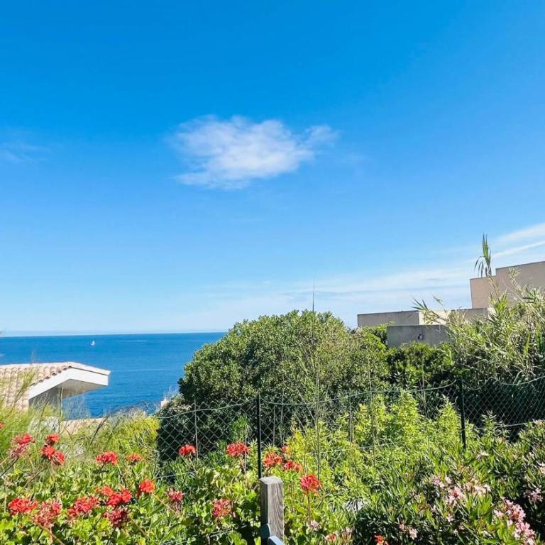 Appartement Les Rochers CALVI - Appartement 1 Chambre - 10