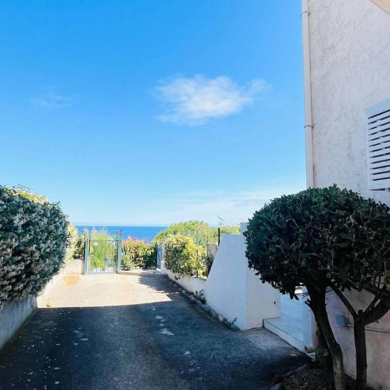 Appartement Les Rochers CALVI - Appartement 1 Chambre - 15