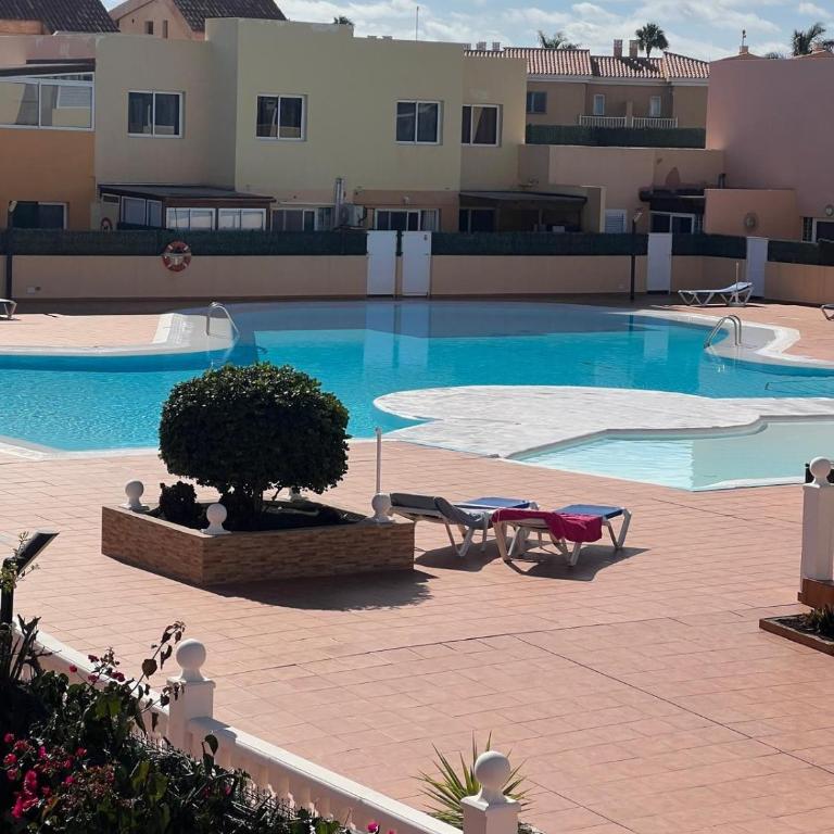 delfin azul - Apartamento Estándar de 2 dormitorios - 34